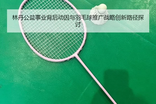 林丹公益事业背后动因与羽毛球推广战略创新路径探讨