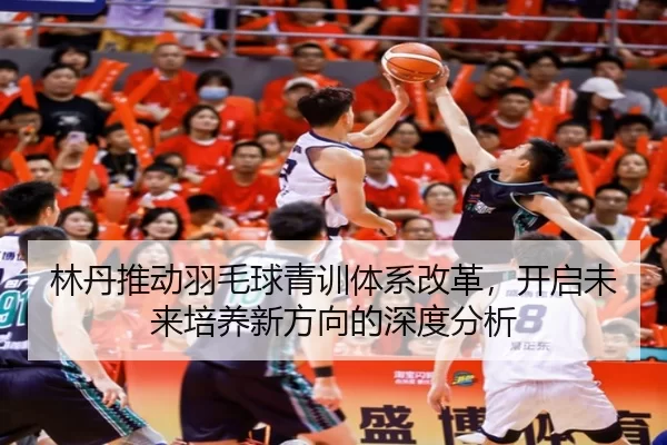 林丹推动羽毛球青训体系改革，开启未来培养新方向的深度分析